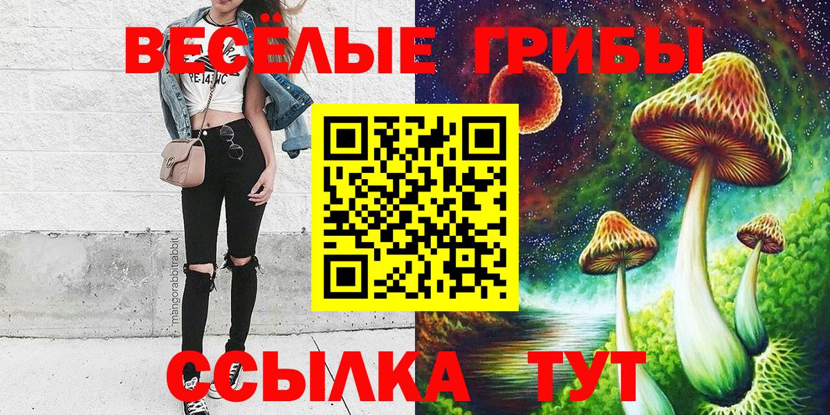 Галлюциногенные грибы Magic Shrooms  Вход с VPN  Новотроицк 