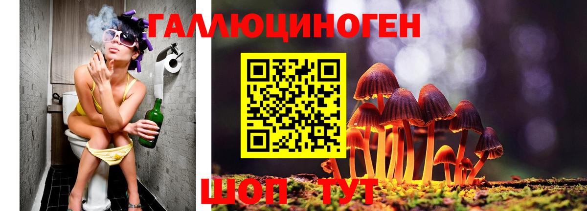 Псилоцибиновые грибы GOLDEN TEACHER Новотроицк